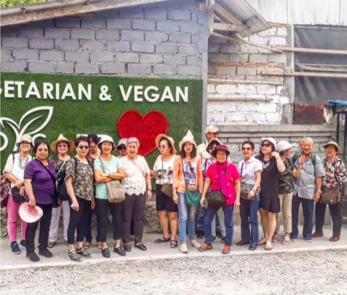 Magic Hour Tour Galeri 6